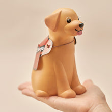 이미지를 갤러리 뷰어에 로드 , [GGD] RadOn Pet Dog and Cat 3D Coloring Kit
