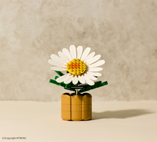 Load image into Gallery viewer, PEACEMINUSONE GD 818 BLOOM