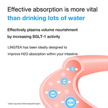 Load image into Gallery viewer, LINGTEA Lemon Flavour