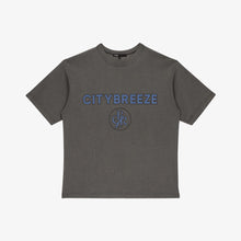 Load image into Gallery viewer, CITYBREEZE Logo Pigment Printed T-shirt Grey