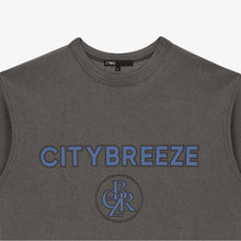 Load image into Gallery viewer, CITYBREEZE Logo Pigment Printed T-shirt Grey