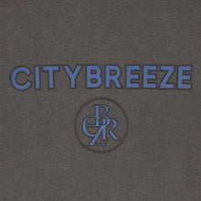 Load image into Gallery viewer, CITYBREEZE Logo Pigment Printed T-shirt Grey