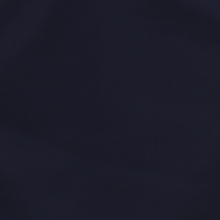 Load image into Gallery viewer, CITYBREEZE Symbol Logo Bikini Navy