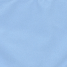 Load image into Gallery viewer, CITYBREEZE Symbol Logo Bikini Sky Blue