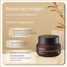 Load image into Gallery viewer, ONOMA WONDER Tomorrow™ Essence Locker