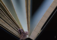 Load image into Gallery viewer, downloadable_moleskine_01.jpg