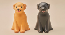 Load image into Gallery viewer, [RADON] 3D Pet Coloring Kit
