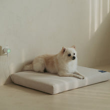 Load image into Gallery viewer, [WORLD HOME DOCTOR CORP] Dr.Friend Puppy Modern Sleep House
