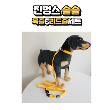 Load image into Gallery viewer, [TOHYANGBIOBALL] Jinmungs Solsol Pet Collar &amp; Leash
