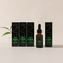 Load image into Gallery viewer, [META PET] Real CBG Pet Hemp Oil (30mL)
