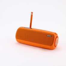 Load image into Gallery viewer, [EMSONIC] BASSIQ

