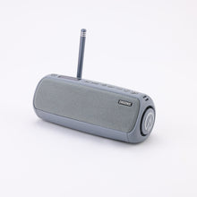Load image into Gallery viewer, [EMSONIC] BASSIQ
