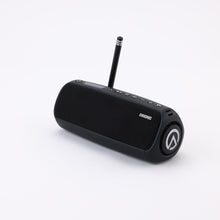 Load image into Gallery viewer, [EMSONIC] BASSIQ
