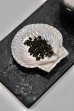 Load image into Gallery viewer, [KCDF] OREM Shell Mini Objet
