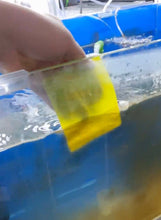 이미지를 갤러리 뷰어에 로드 , [GGD] Minfactory Fish Tank Scrubber 4P

