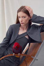 Load image into Gallery viewer, [RE RHEE] Strapless Cropped Tube Top
