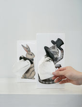 Load image into Gallery viewer, [SPEXTRUM] Tissue Up Tale (Catsby)

