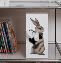 Load image into Gallery viewer, [SPEXTRUM] Tissue Up Tale (Wonder Rabbit)
