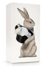 Load image into Gallery viewer, [SPEXTRUM] Tissue Up Tale (Wonder Rabbit)
