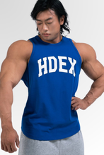 Load image into Gallery viewer, Arch Logo Sleeveless Blue
