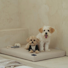 Load image into Gallery viewer, [WORLD HOME DOCTOR CORP] Dr.Friend Puppy Modern Sleep House
