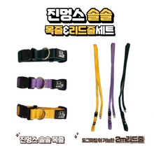 Load image into Gallery viewer, [TOHYANGBIOBALL] Jinmungs Solsol Pet Collar &amp; Leash
