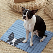 Load image into Gallery viewer, [DK SHOP] AVANTPET COOLING MAT
